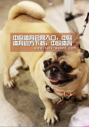 中欧体育官网入口,中欧体育官方下载,中欧体育平台_【西甲】足球预测分析:皇家社会VS巴塞罗那(图1) 中欧体育官网入口,中欧体育官方下载,中欧体育平台