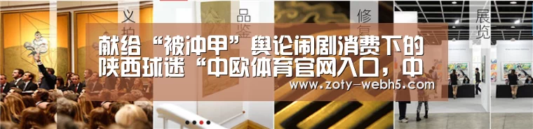 献给“被冲甲”舆论闹剧消费下的陕西球迷“中欧体育官网入口,中欧体育官方下载,中欧体育平台”(图4) 中欧体育官网入口,中欧体育官方下载,中欧体育平台