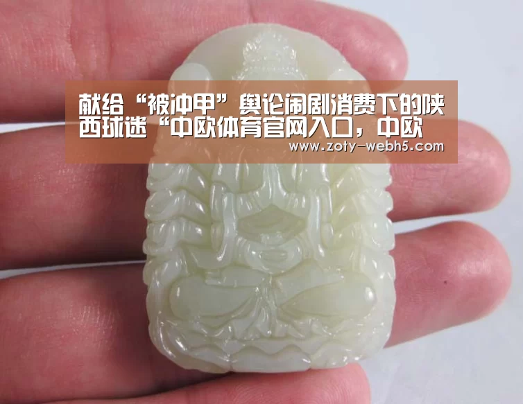 献给“被冲甲”舆论闹剧消费下的陕西球迷“中欧体育官网入口,中欧体育官方下载,中欧体育平台”(图3) 中欧体育官网入口,中欧体育官方下载,中欧体育平台